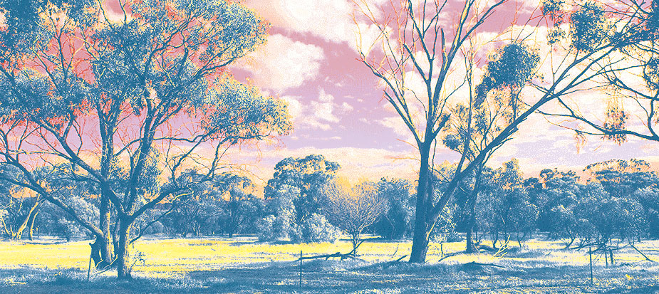 York-Reserve-August-2019